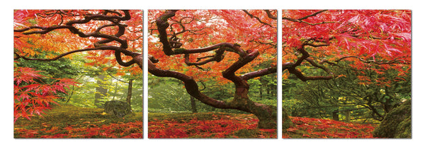 Modern fall wall decor, 3 panels set print on acrylic- Fall Arrival ...